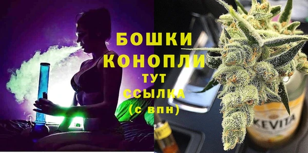 ECSTASY Богданович